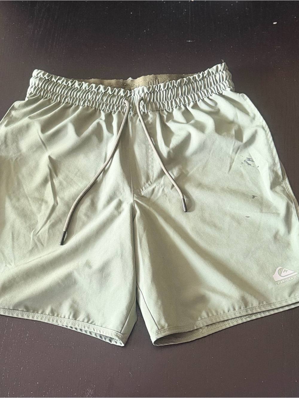 Quiksilver Light Sage Green Athletic Shorts